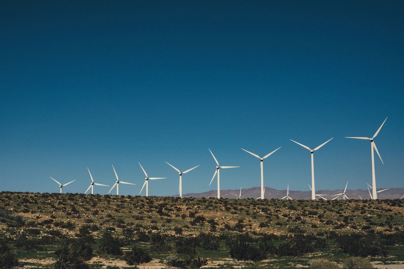 Een kleine, groene energieleverancier kiezen: waar ik op lette